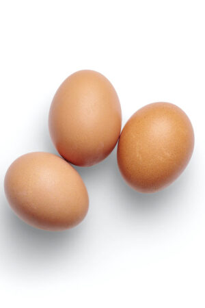 eggs eggs